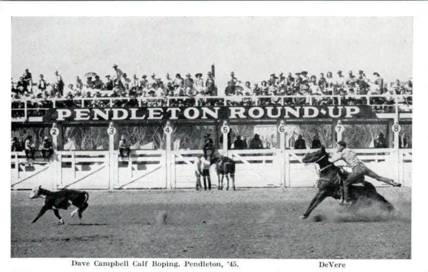 c.1945 Dave Campbell Clf Roping in Pendleton Oregon. (a printed lithographic card)