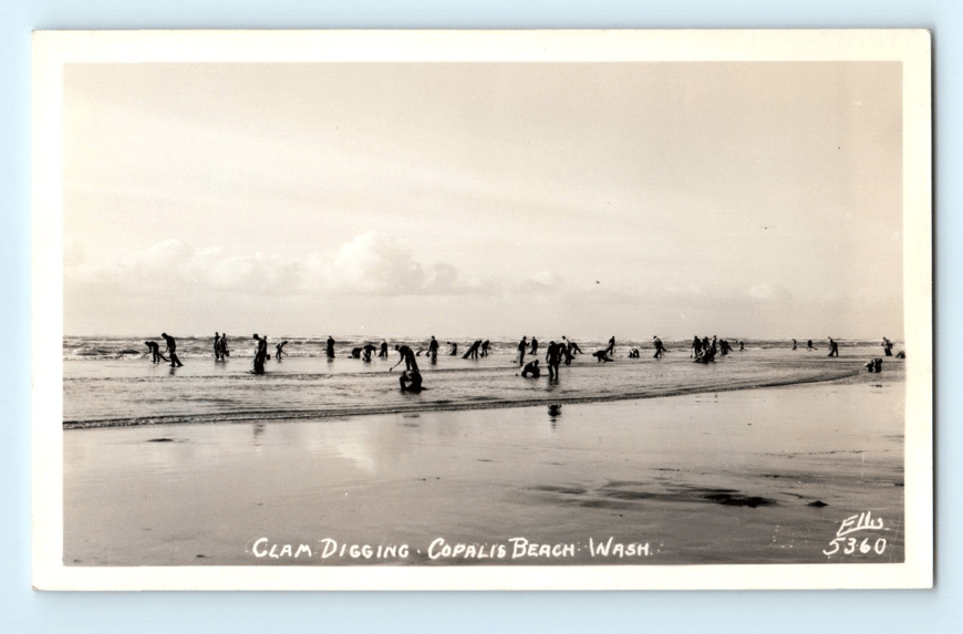 c.1920 RPPC Copalis Beach, Clam Digging Grays Harbor County WA Postcard