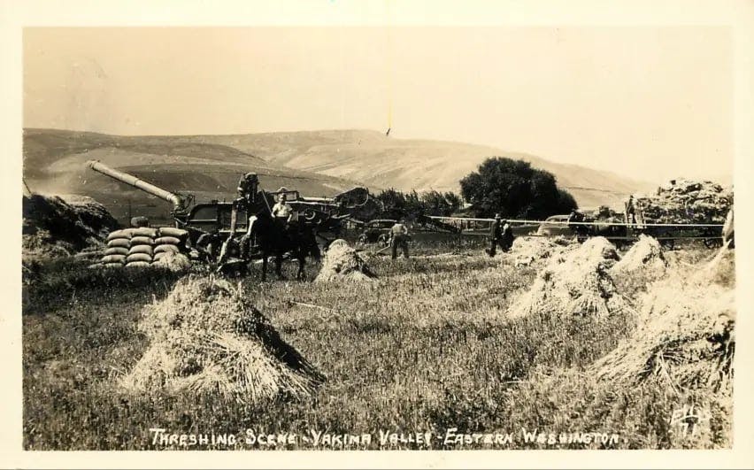 c.1930 Threshing Scene Yakima Valley in Eastern Washington