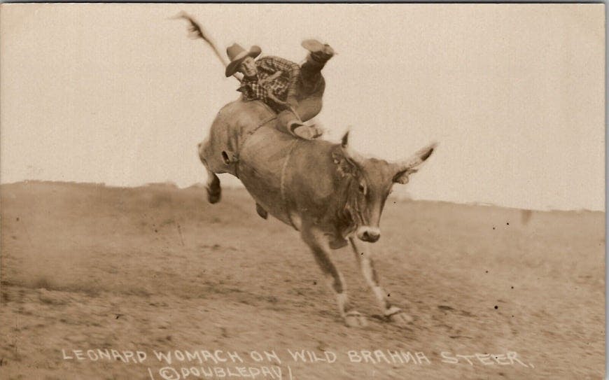 Leonard Womach on Wild Brahma Steer by Ralph R. Doubleday