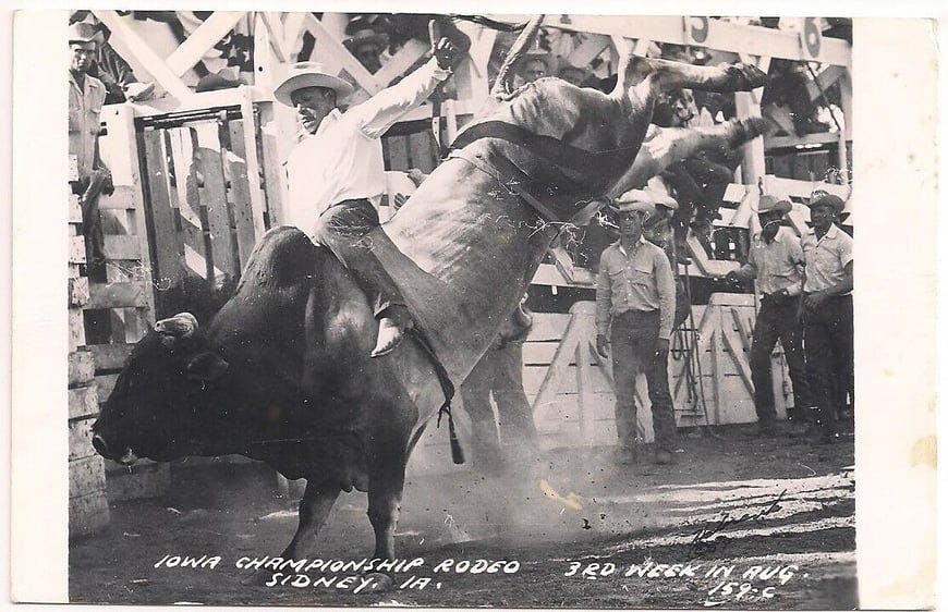 Sidney Iowa Championship Rodeo Bull