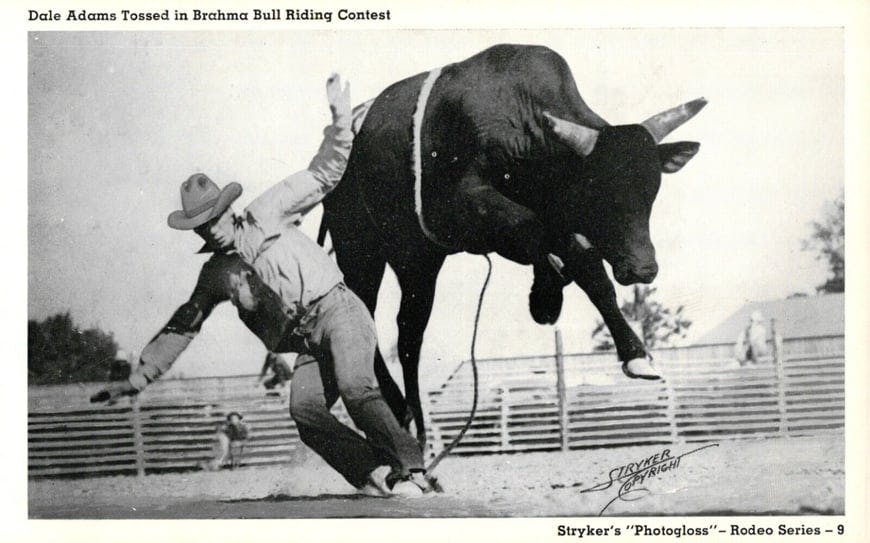 DALE ADAMS BULL RIDING CONTEST TOSSED