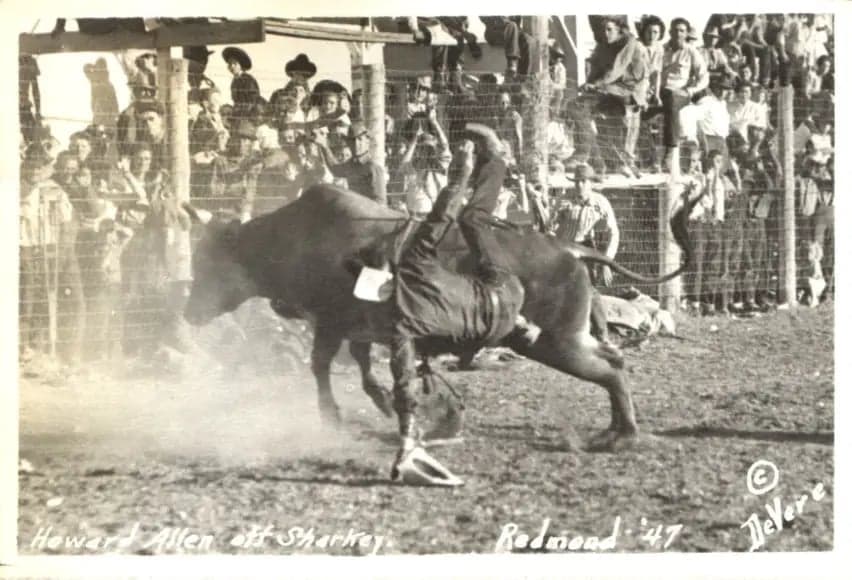 c.1947 Howard Allen off Sharky in Redmond California.