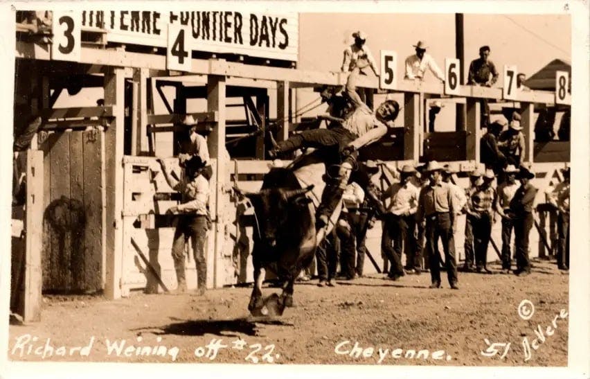 c.1951 Richard Weining bucked off #22 in Cheyenne.