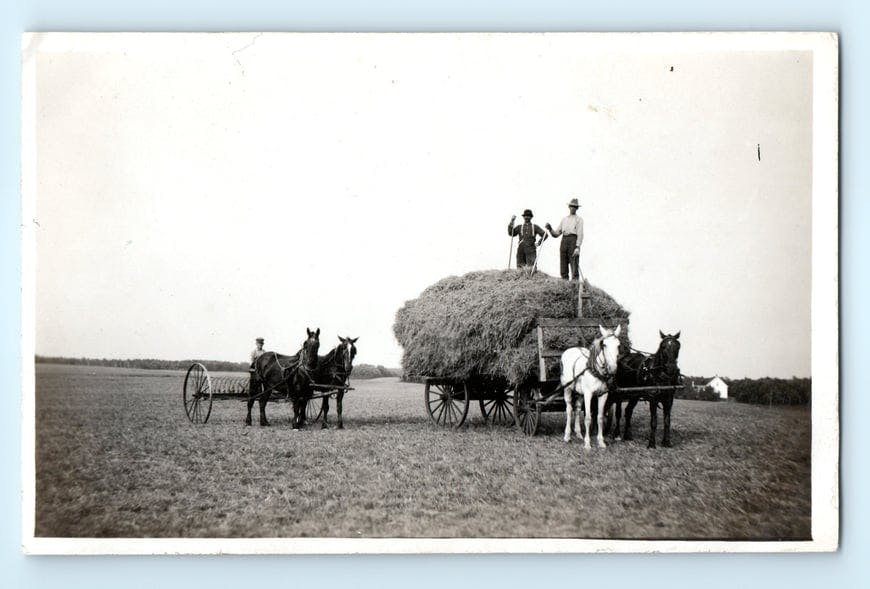 c.1900 Men Baling Hay on a Pioneer Farm With a Horse Drawn Wagon