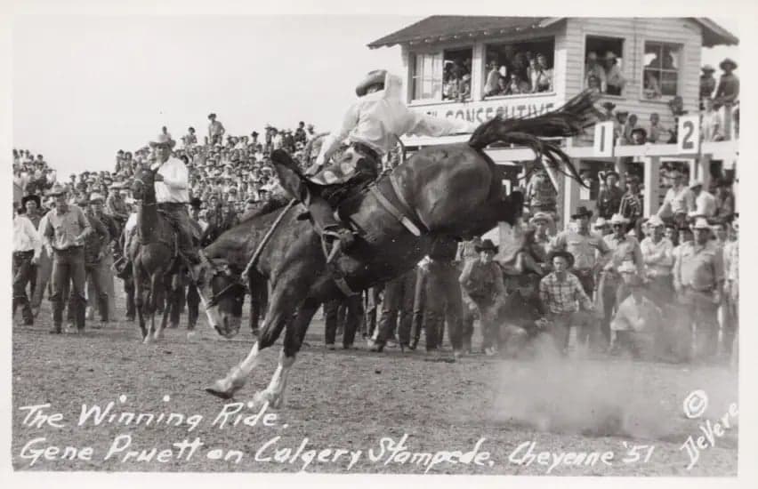 c.1951 The winning Ride Gene Pruett on Calgery Stampede in Cheyenne Wyoming.